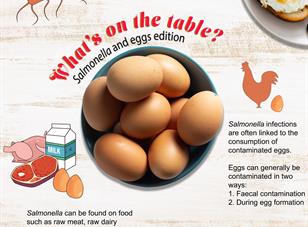 What’s on the Table Series: Salmonella and Eggs Edition
