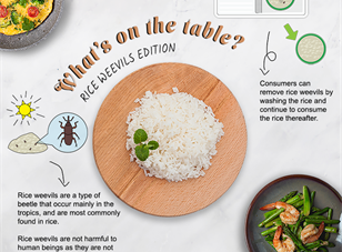 What’s on the Table Series: Rice Weevils Edition