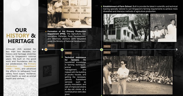 Leaving A Legacy Of Excellence From Ava To Sfa