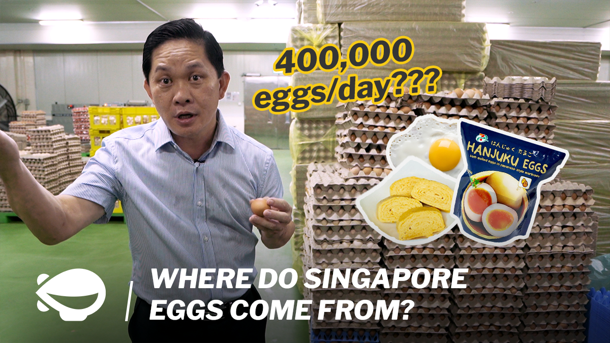 Where do sg eggs come from PC_Mothership