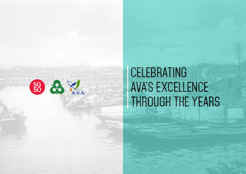 Celebrating AVA's Excellence Through the Years (AVA 15th Anniversary & SG50 Special Feature)