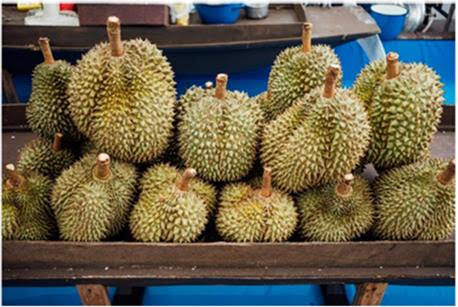 durian1 lotsofdurians