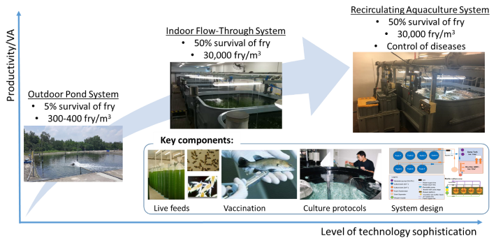Hatchery Hatchery