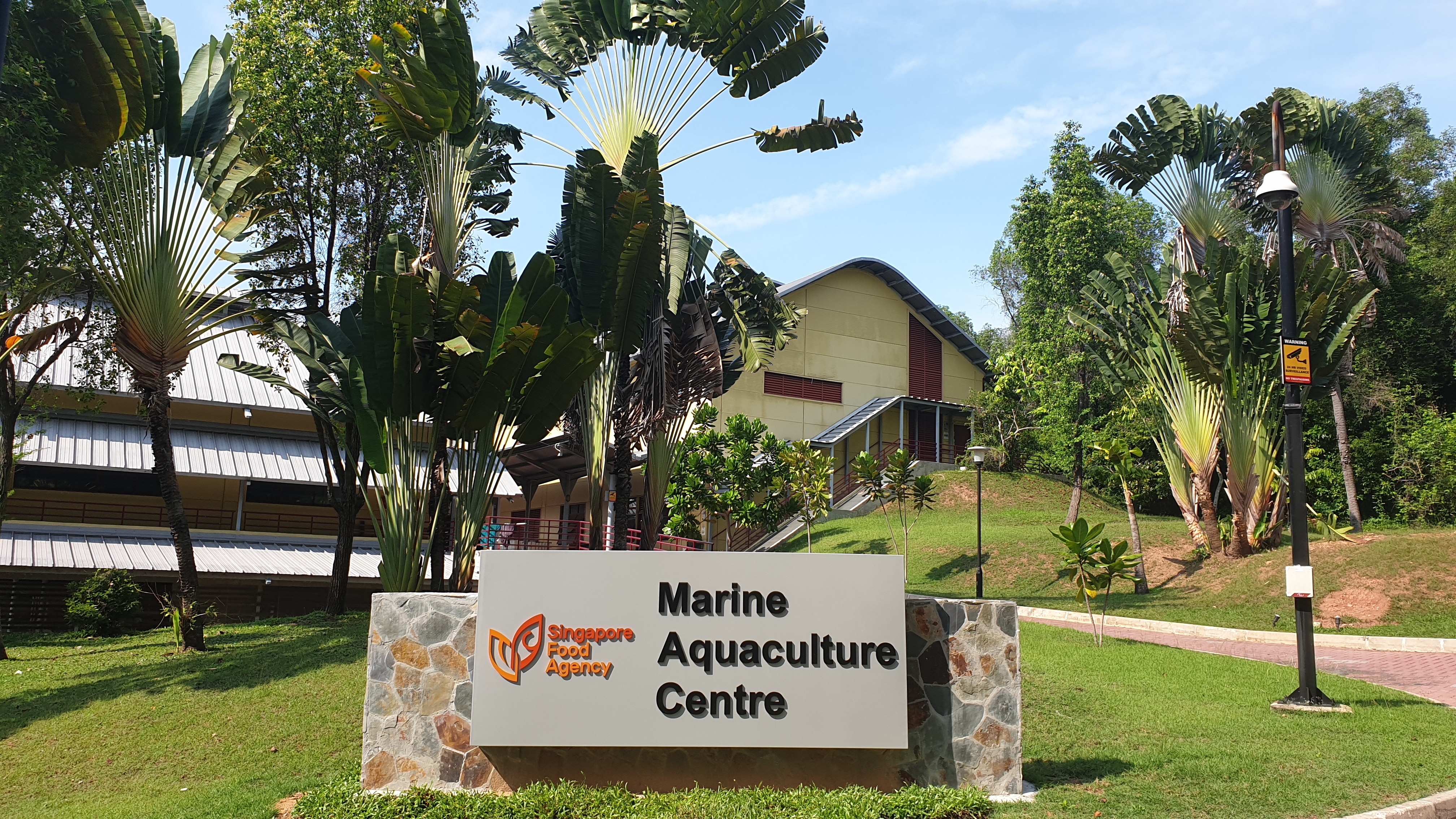 Marine Aquaculture Centre