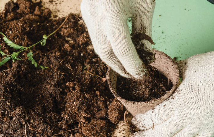 Different Plants Require Different Mixes of Soil