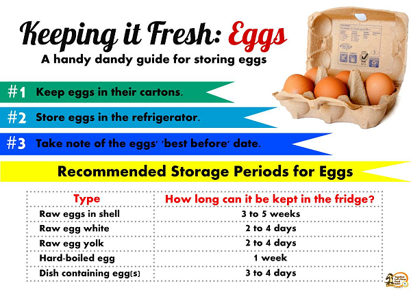 2017.06.20.Ways & duration to store eggs