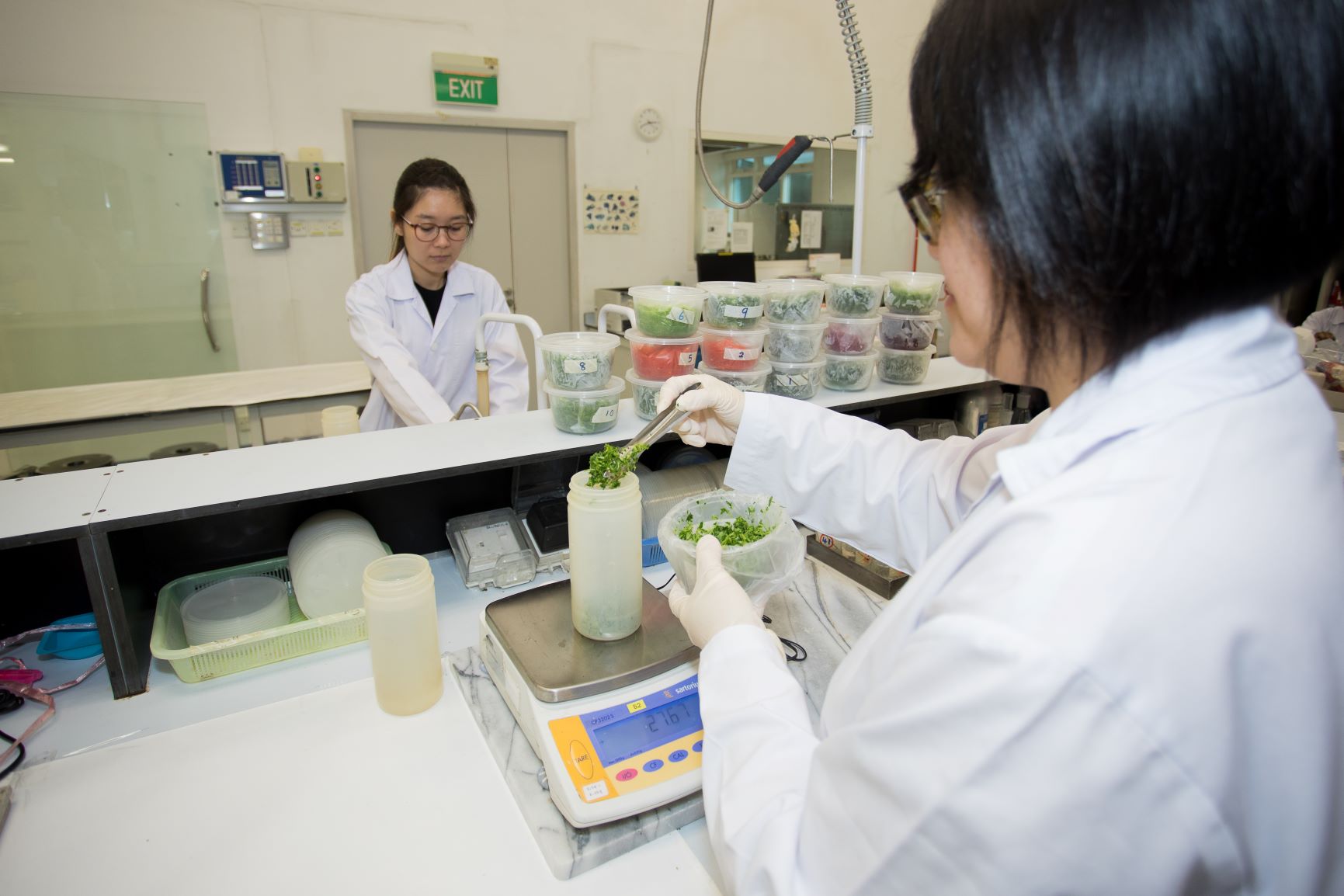 Monitoring and testing of food Monitoring and testing of food