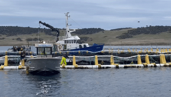 An aquaculture farm in Australia An aquaculture farm in Australia