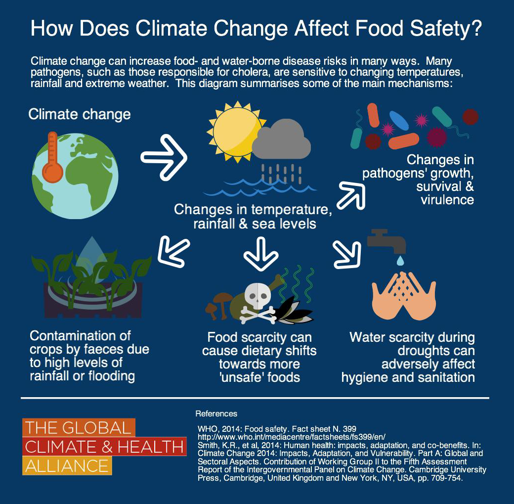 climate change and food safety infographic