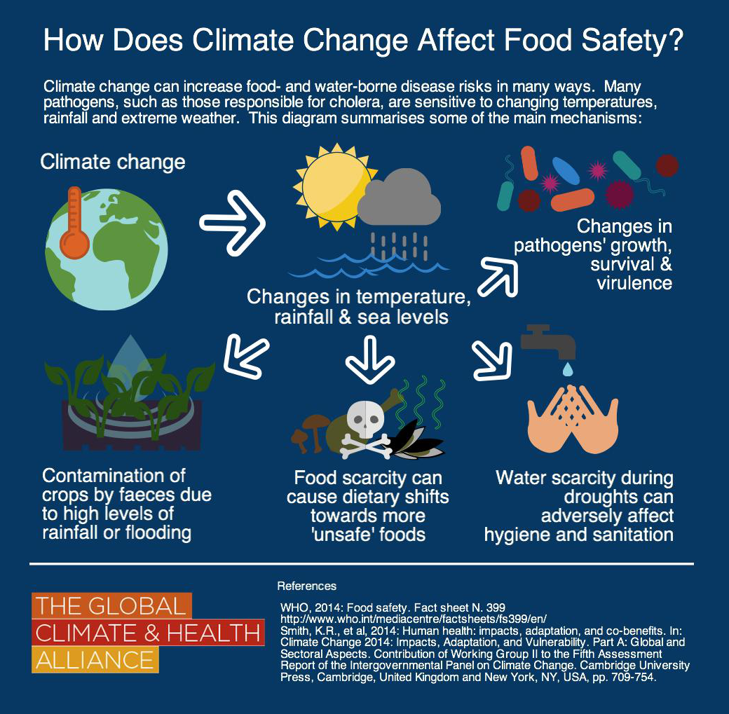 essay on climate change and food security