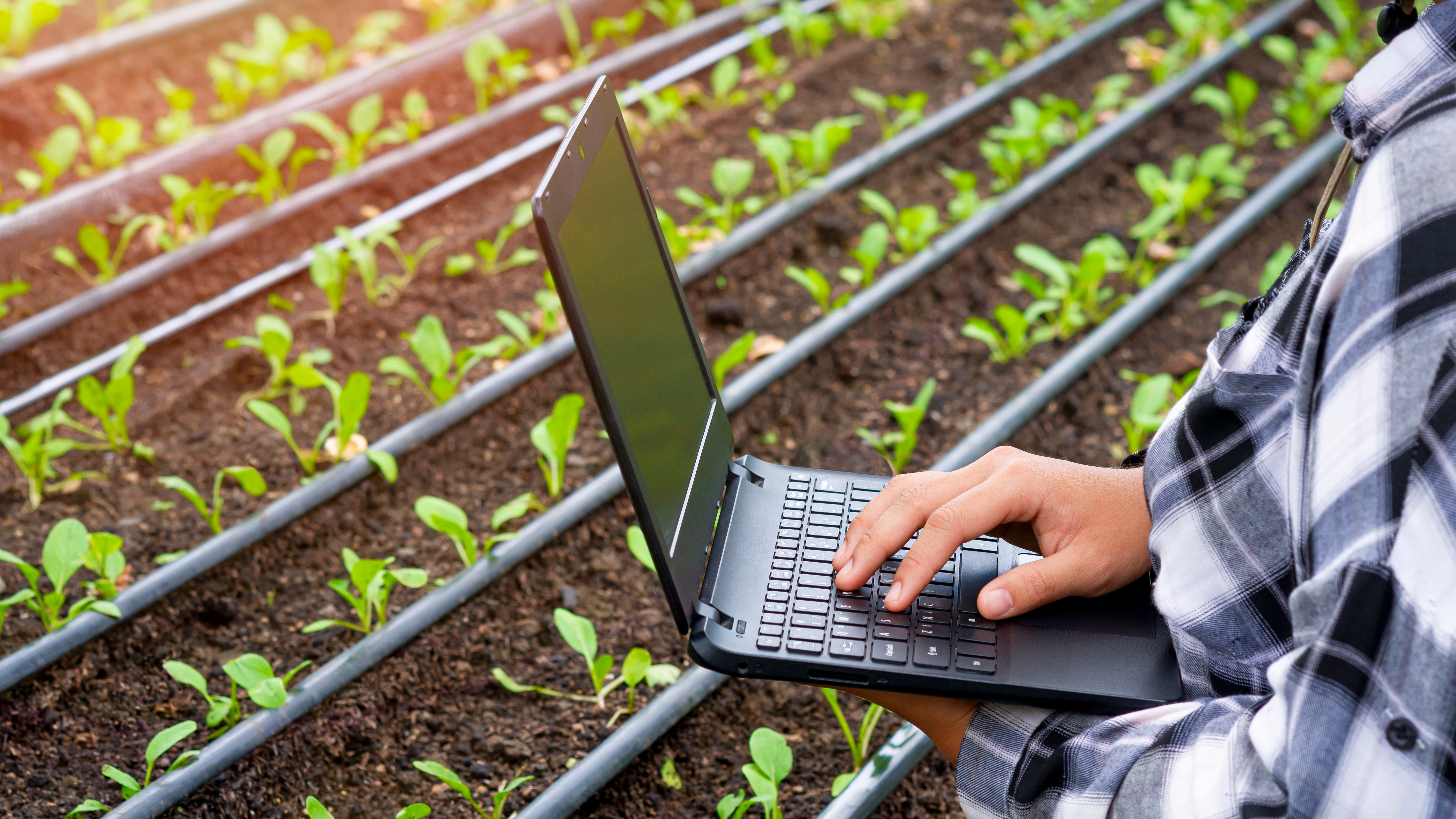 close-up-of-young-female-farmer-hand-using-laptop-computer-to-record-growing-data-of-many-young_t20_KJBYm1