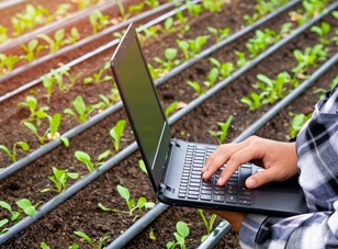 Giving Shrimp, Mushroom, and Other Farms an Added Boost