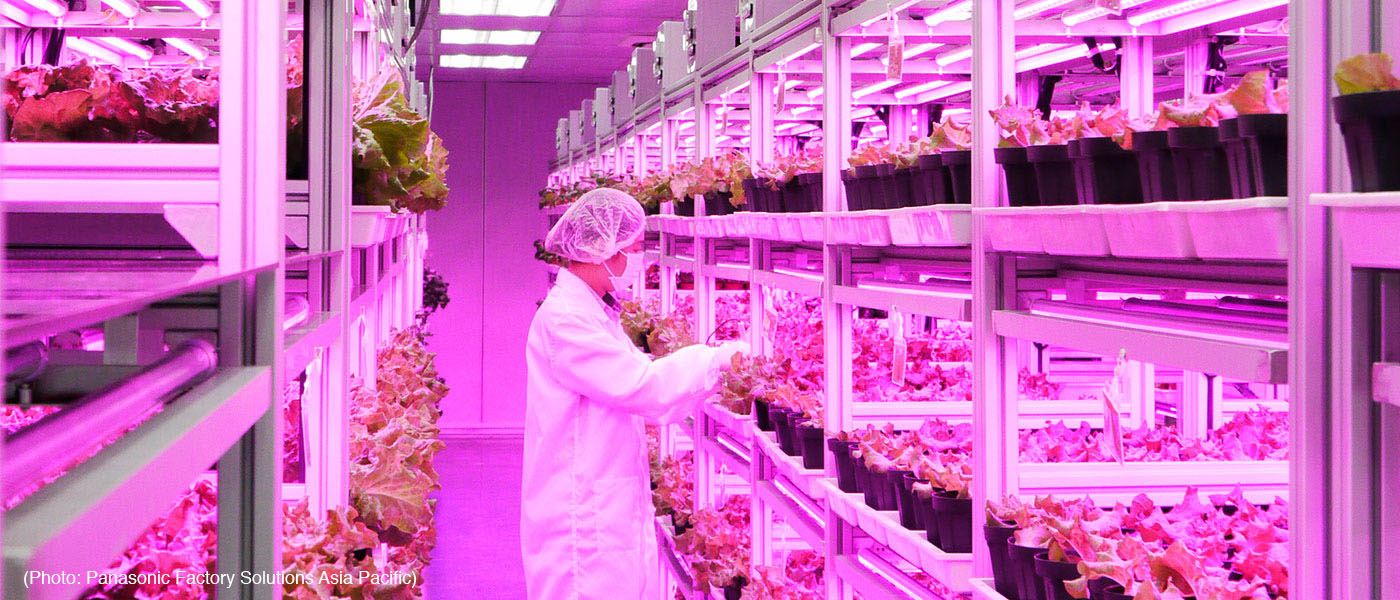 Companies are also exploring vertical farming to grow leafy vegetables indoors. Companies are also exploring vertical farming to grow leafy vegetables indoors.