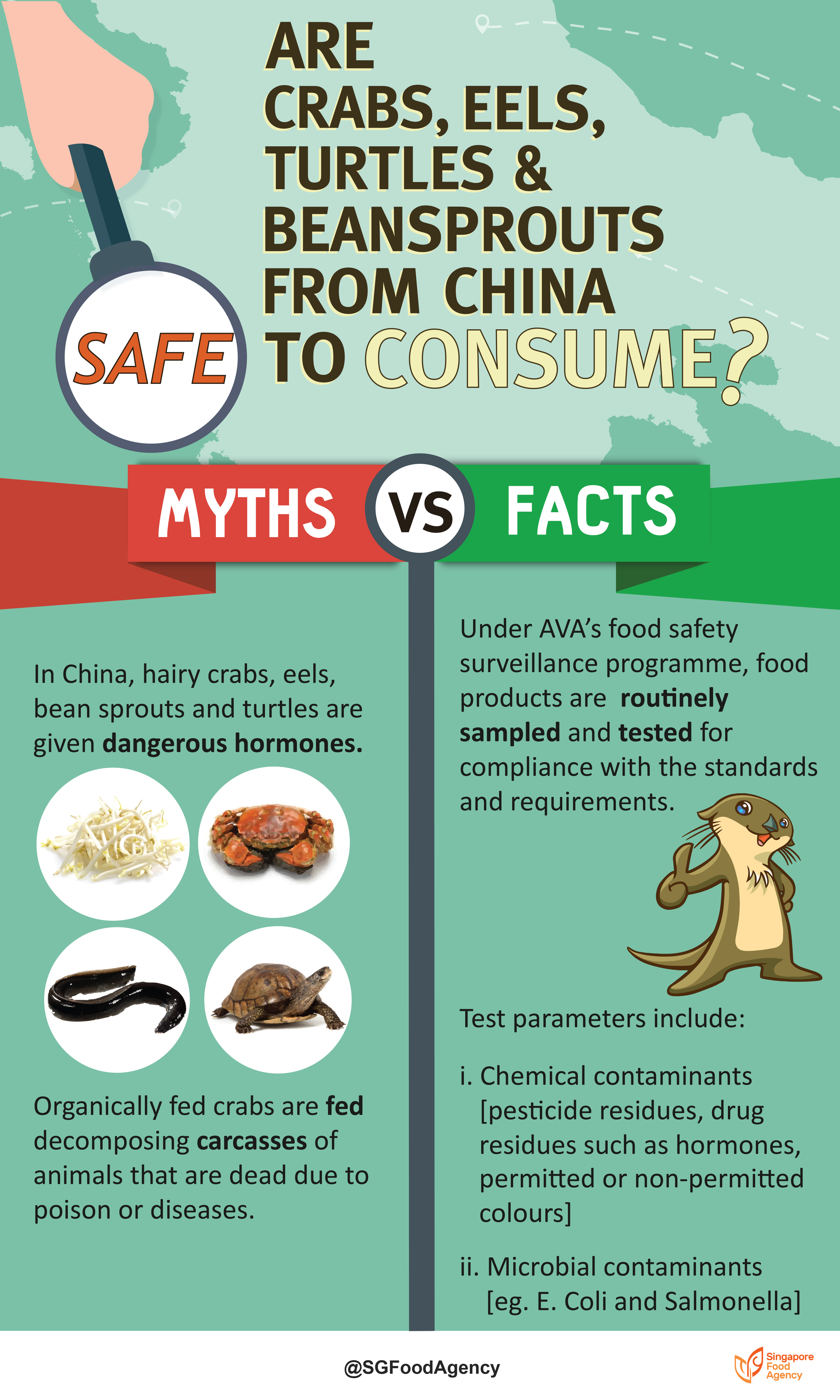 Crabs, Eels, Beansprouts and Turtles from China Crabs, Eels, Beansprouts and Turtles from China