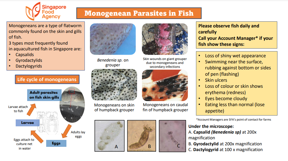 disease card