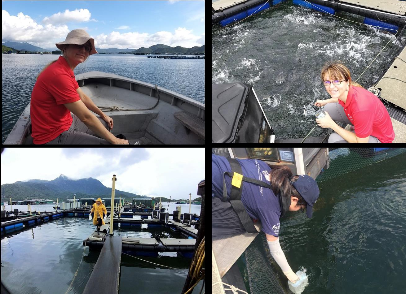 Dr Giana Gomes conducting aquacultural studies Dr Giana Gomes conducting aquacultural studies