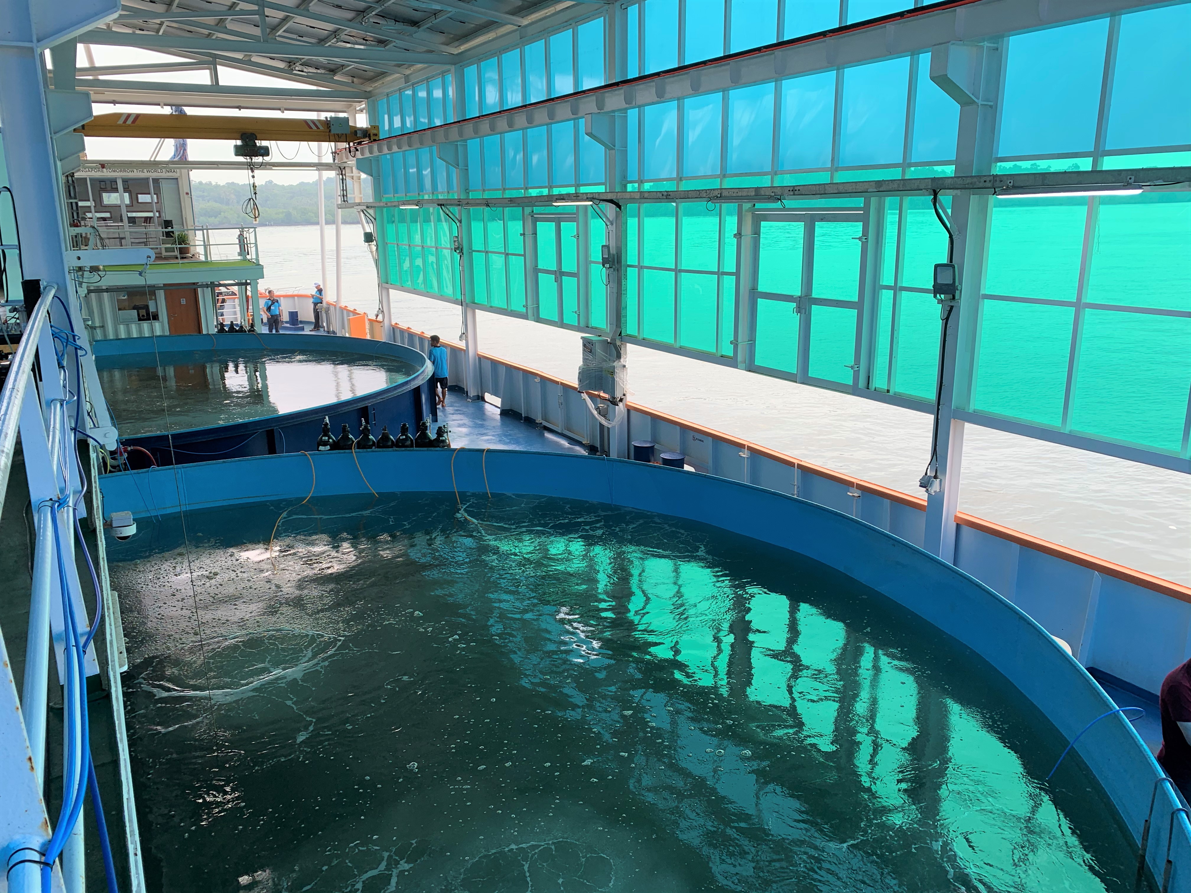 Eco-Ark recirculating Eco-Ark recirculating