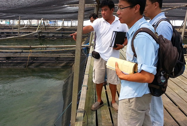 Good aquaculture practice for fish farming