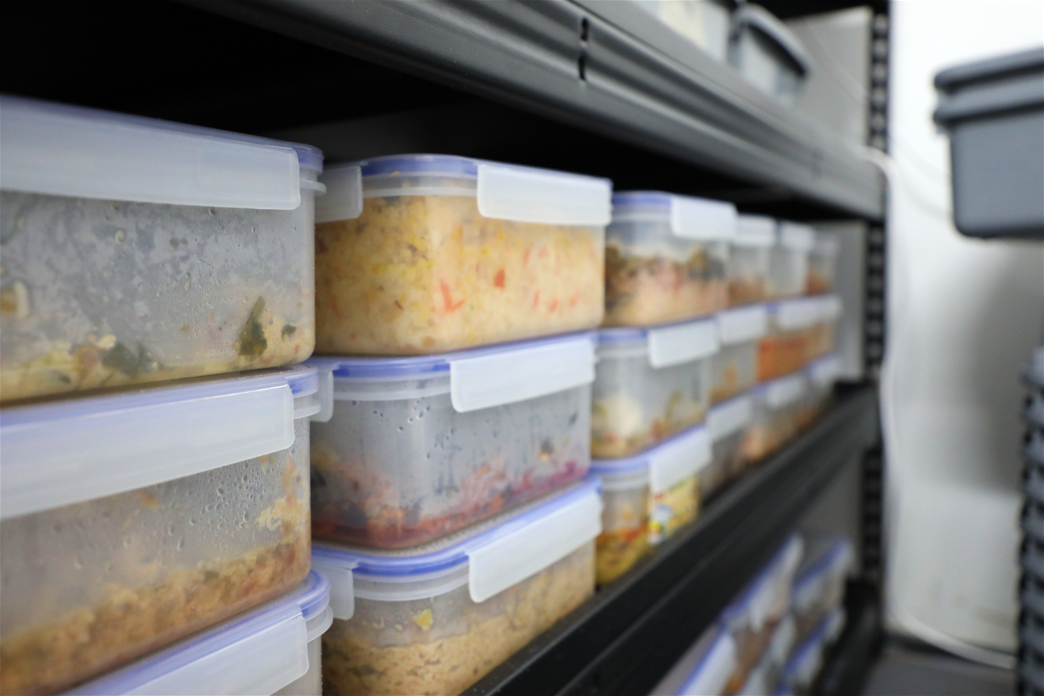 food waste food waste