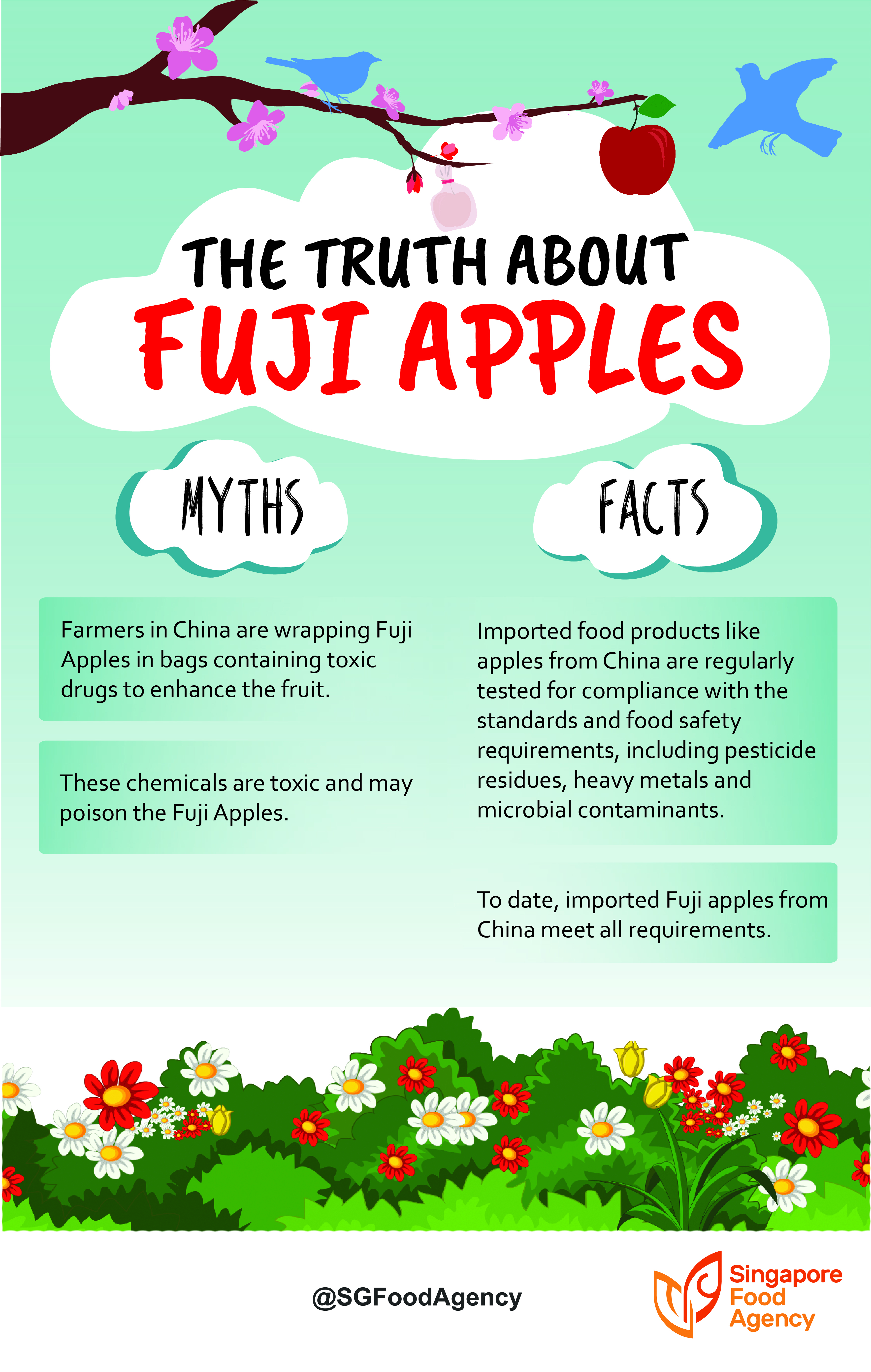 Fuji Apples Information and Facts