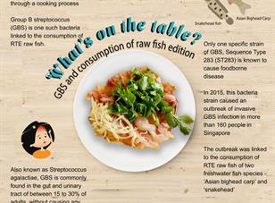 What’s on the table series: GBS and consumption of Raw Fish Edition