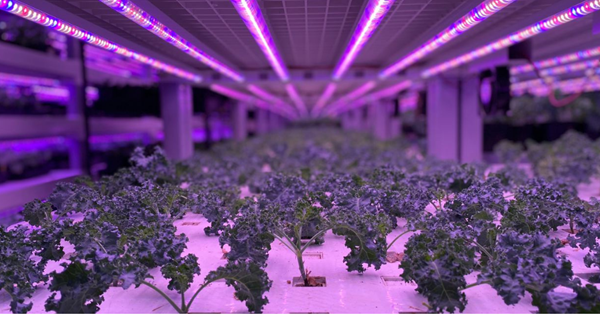 indoor farming system