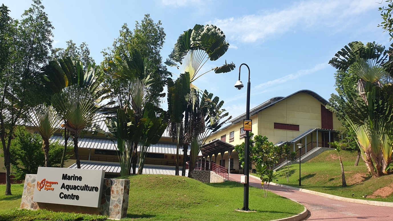 The Marine Aquaculture Centre on St. John's Island