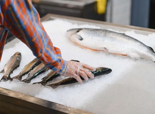 Heavy metals in fish and seafood: A closer look