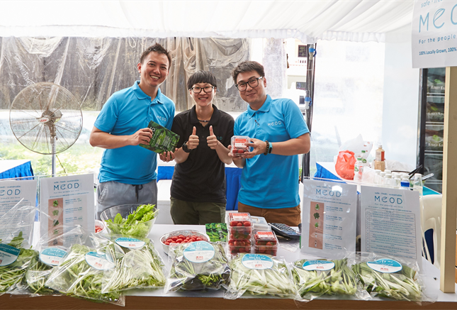 MEOD at SGFM MEOD at SGFM