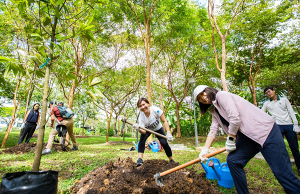 MSE50 tree planting MSE50 tree planting