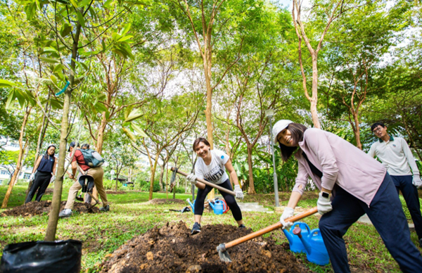 MSE50 tree planting