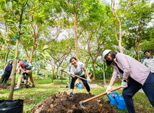 Of Change & Challenges: Reminders from Singapore’s Past Agricultural Transformations