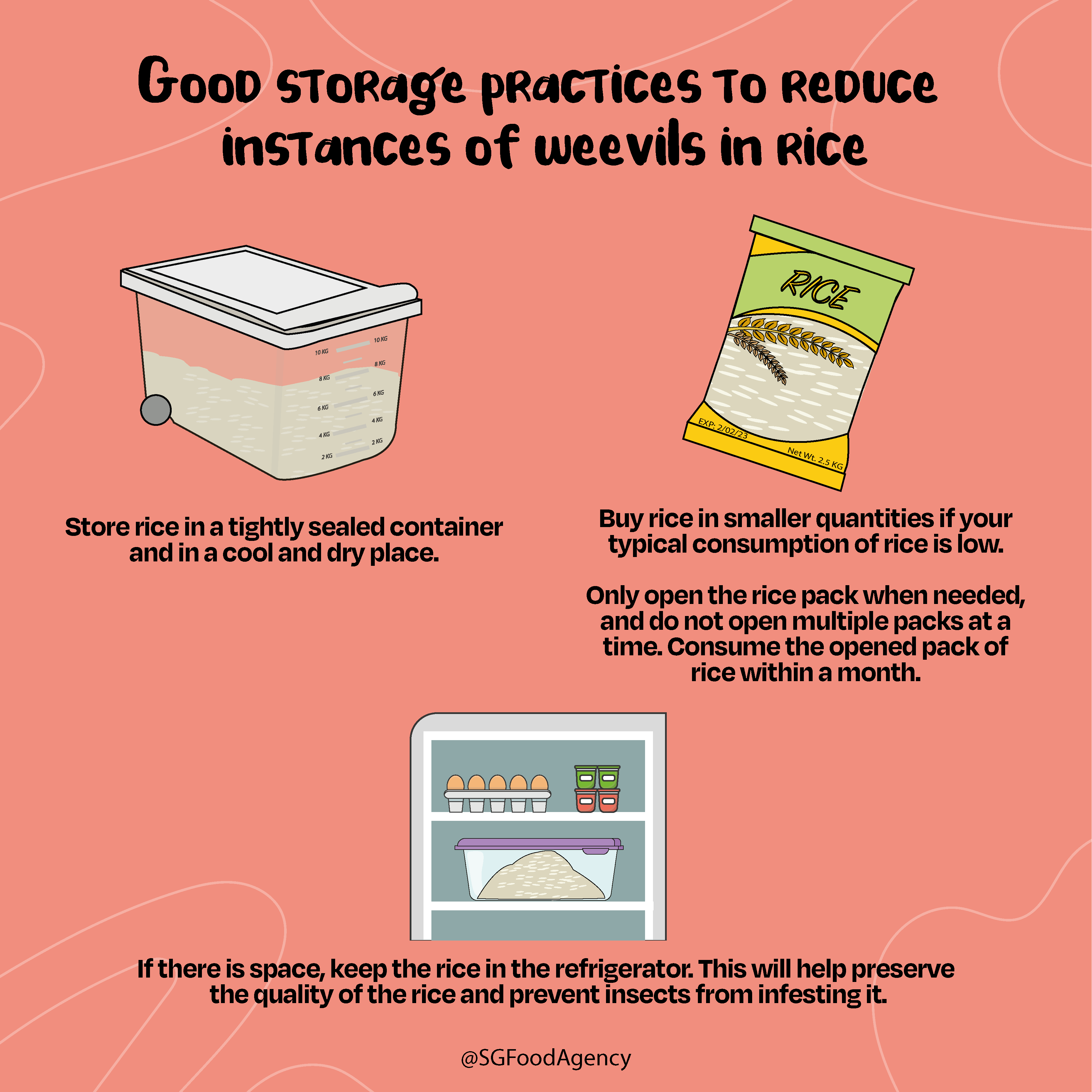 Riceweevil-02 Storage practices to reduce rice weevils