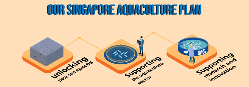 Singapore Aquaculture Plan details