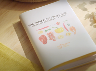 The Singapore Food Story