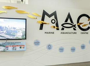 The Marine Aquaculture Centre at 20: Raising the standard of local aquaculture, envisioning a more sustainable future