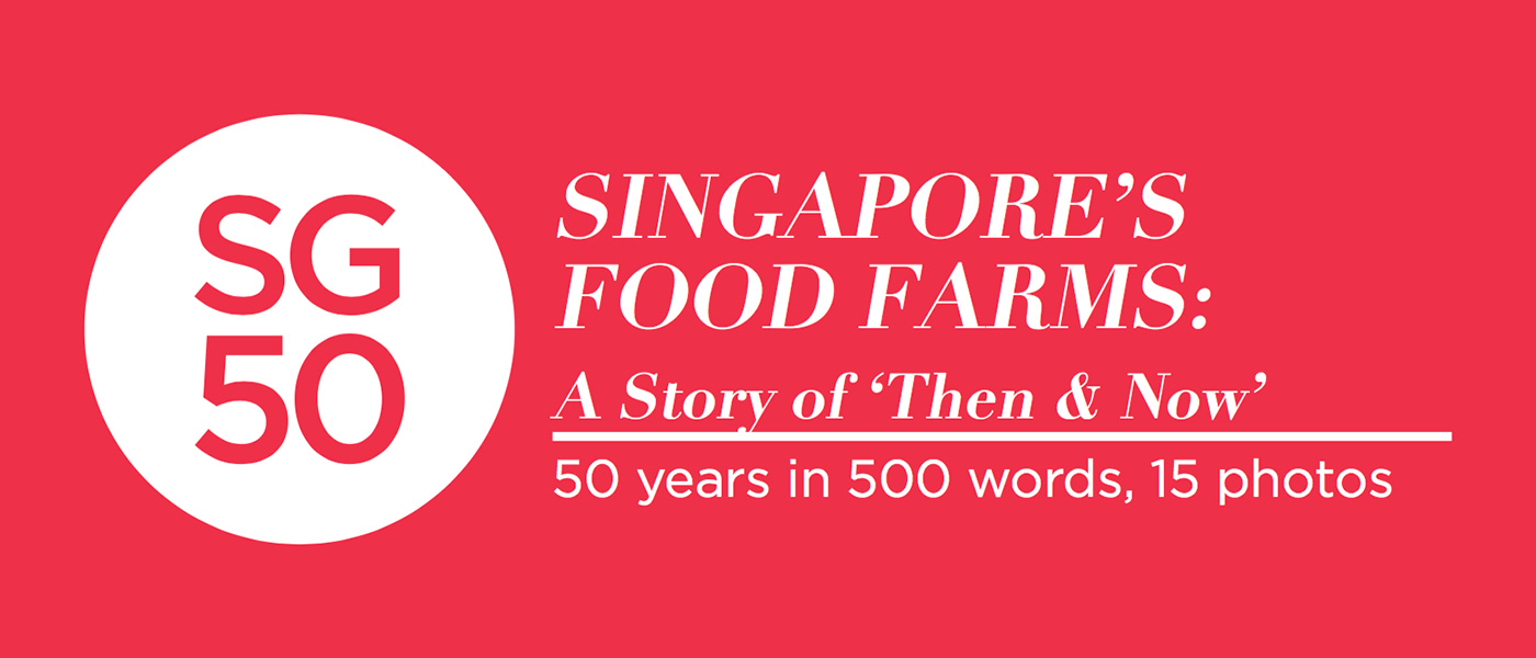 sg50Header sg50Header