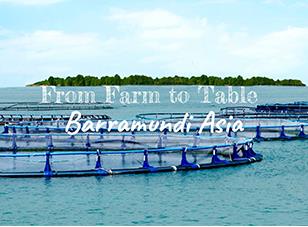 Singapore’s Modern Farms Series: Barramundi Asia