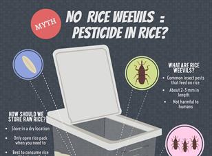 Is the rice full of pesticide if there are no weevils in it?