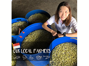 Our Local Farmers Series: Jean Woon, Ser Poh Farming & Trading Enterprise