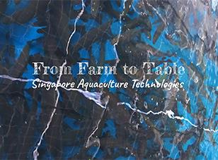 Singapore’s Modern Farms Series: Singapore Aquaculture Technologies