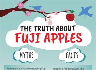 Myths about Fuji apples