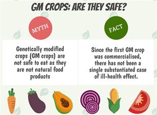 Are genetically modified crops real & safe to consume?