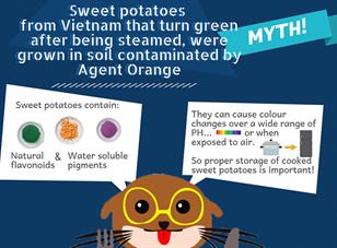 Are sweet potatoes from Vietnam, which turn green after being steamed, grown in soil contaminated by Agent Orange?