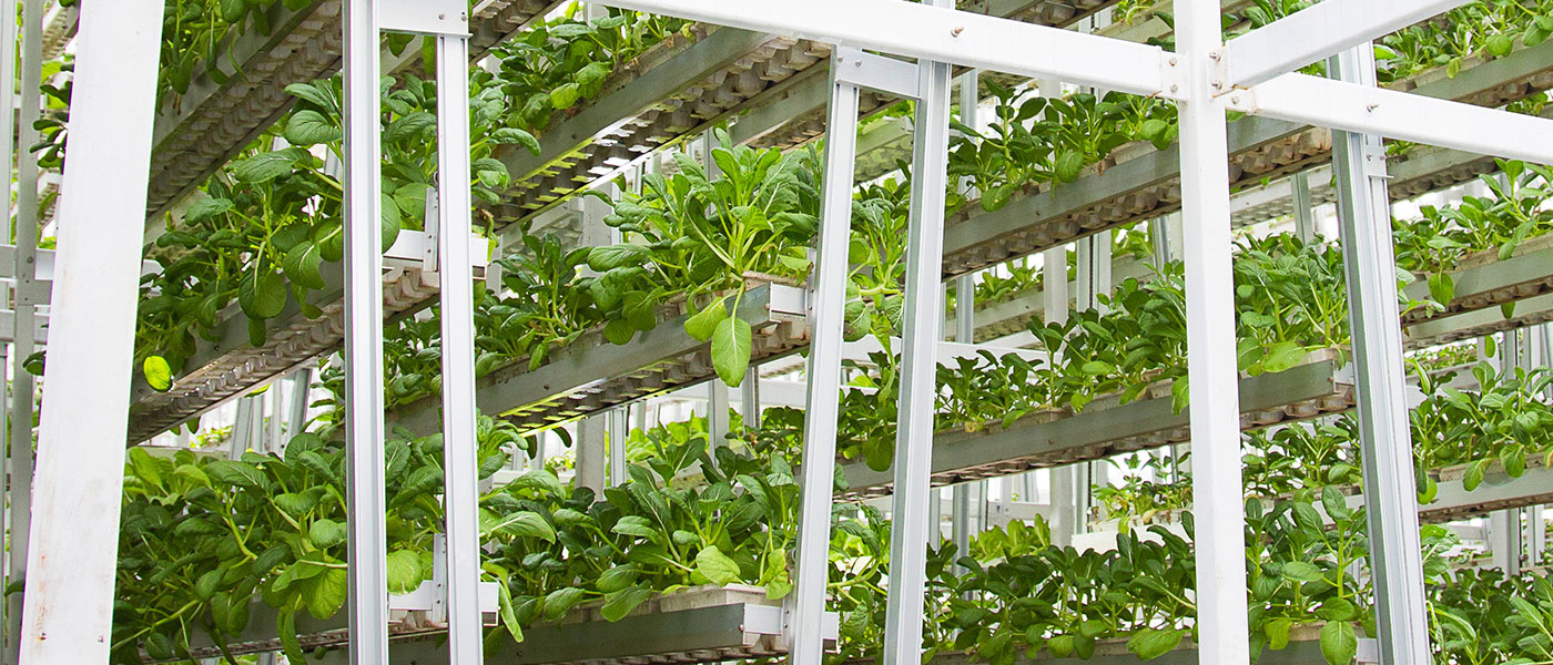 Vertical farming is a good way to achieve better land-use efficiency.