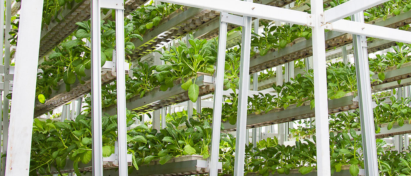 Vertical farming is a good way to achieve better land-use efficiency. Vertical farming is a good way to achieve better land-use efficiency.