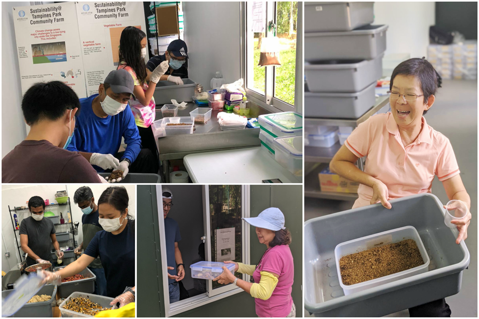 volunteers volunteers