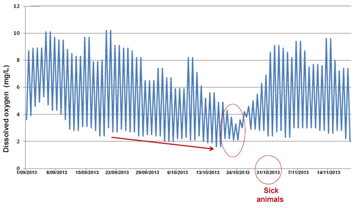 water quality graph