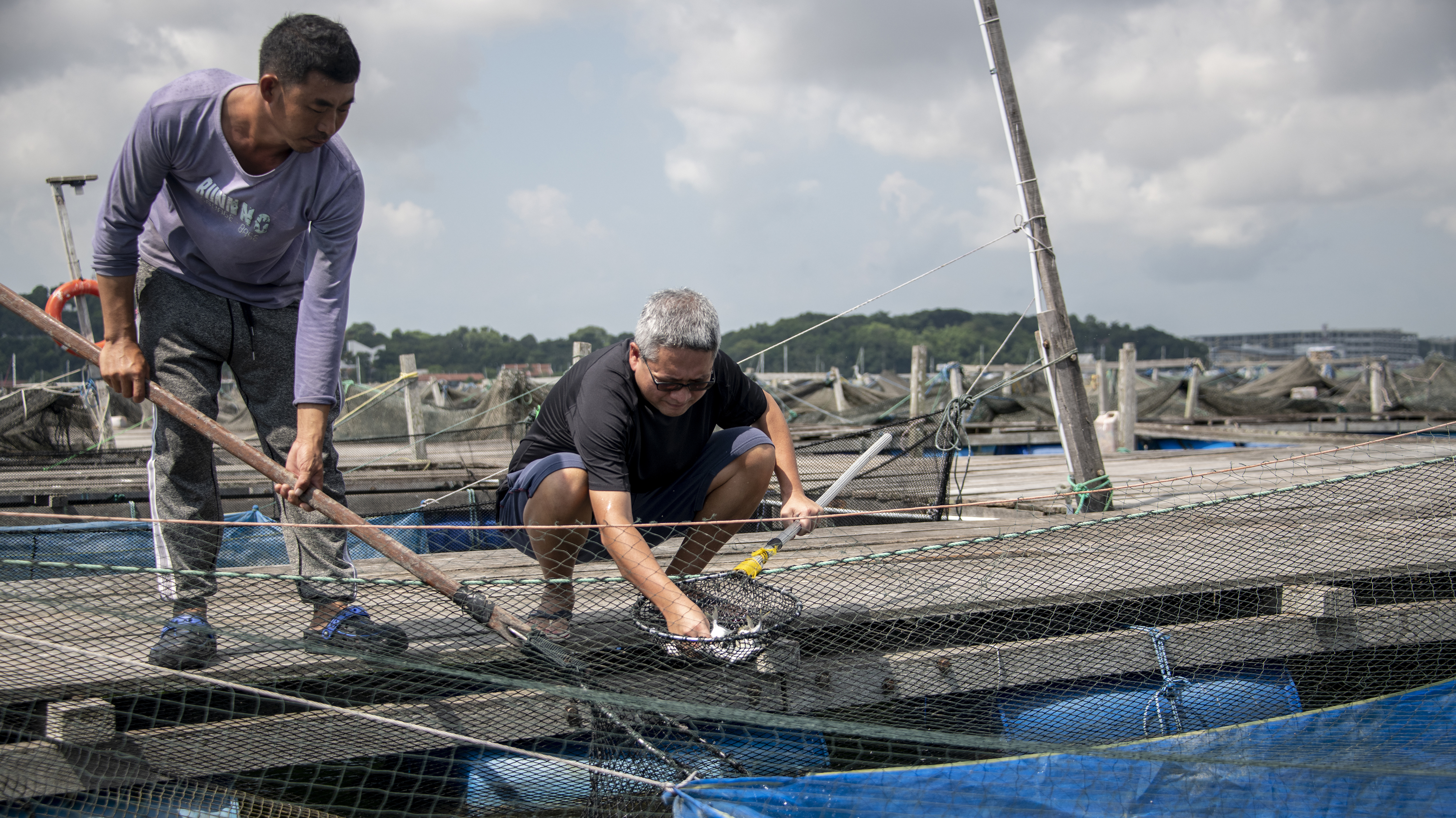 What’s the most challenging aspect of fish farming? Image