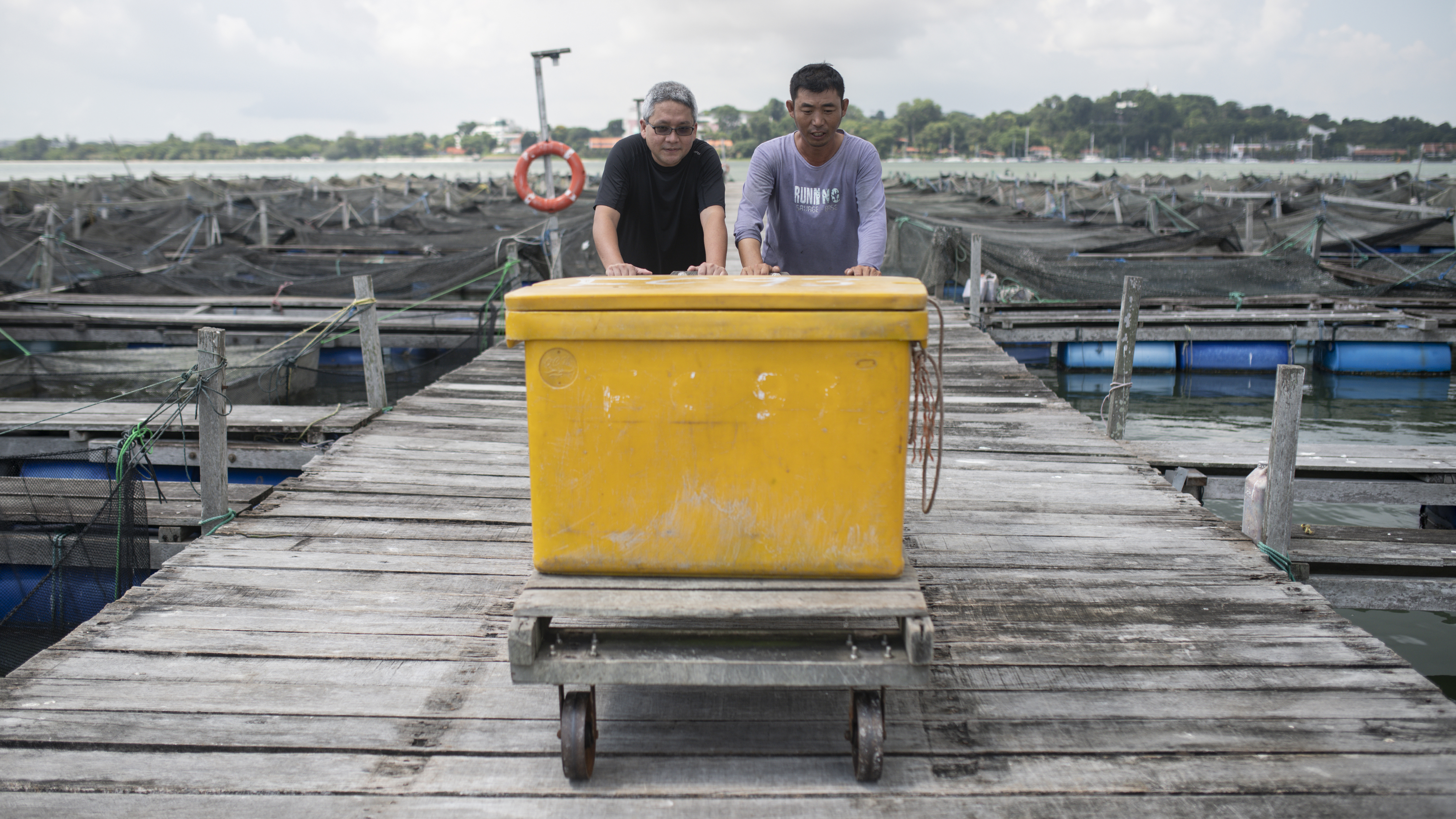 What’s the most heart-warming aspect of being a fish farmer? Image